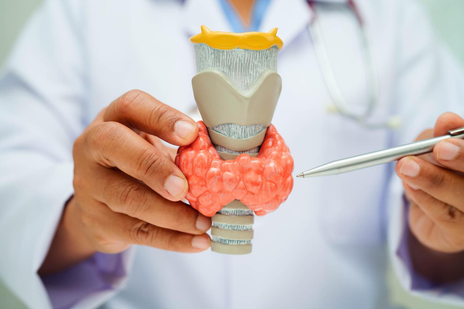 Pajzsmirigy endokrinológia